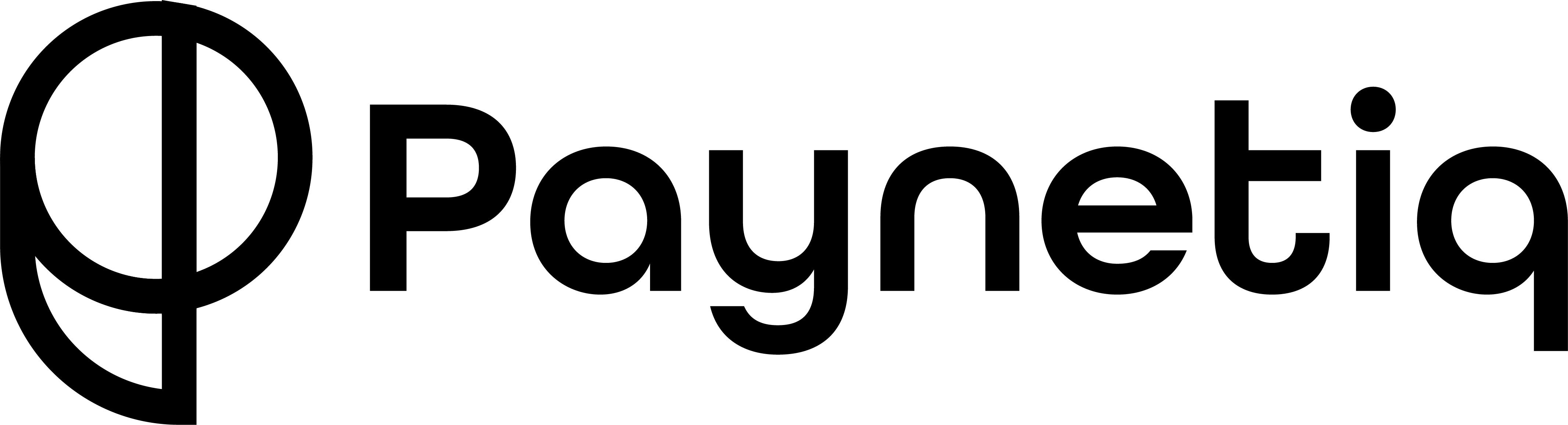 Paynetic Logo